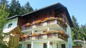 Appartement-Pension Familie Gewessler Bad Mitterndorf